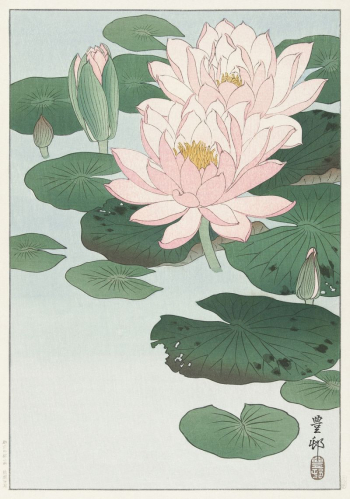 Water Lily (1920 - 1930) | Free Photo Illustration - rawpixel