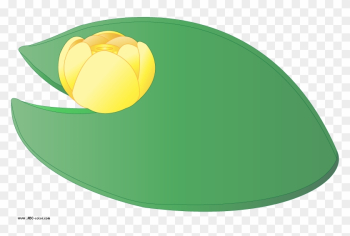 Water Lily Leaf Clipart - Water Lilies Water Lily Leaf Clipart - Water Lilies