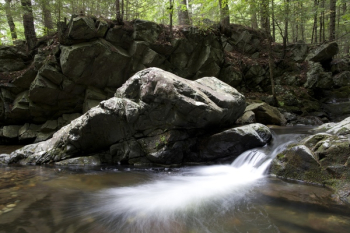 Water Running Through Rocky Terrain in the Woods Water Running Through Rocky Terrain in the Woods