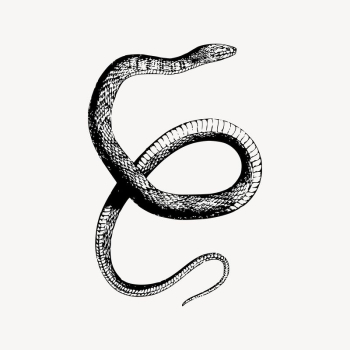 Water snake clipart, animal illustration | Free Vector Illustration - rawpixel Water snake clipart, animal illustration | Free Vector Illustration - rawpixel