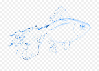 Water Splash Photography - Water Elemental Water Splash Photography - Water Elemental