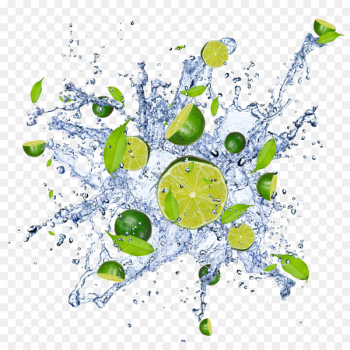 Water Stock photography Key lime Lemon - Water and lemon 