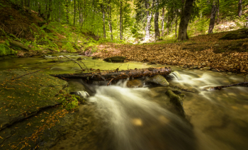 Water Stream Water Stream