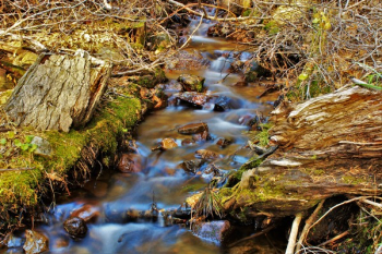 Water Stream on Creeks Water Stream on Creeks