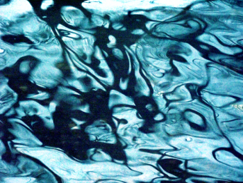 Water Surface 1.JPG Water Surface 1.JPG