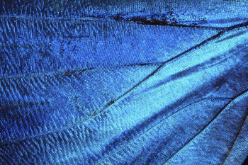 Water texture, abstract, ocean, background, | Free Photo Illustration - rawpixel Water texture, abstract, ocean, background, | Free Photo Illustration - rawpixel