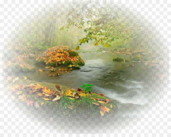 Water - water 