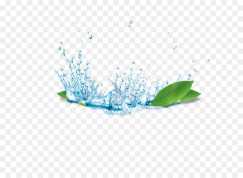 Water - water 