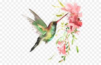 Watercolor bird Watercolor bird