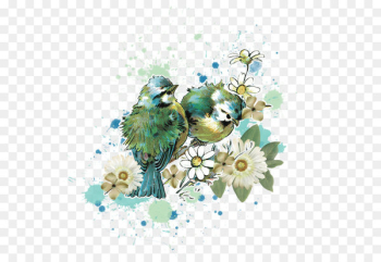 Watercolor Birds Watercolor Birds