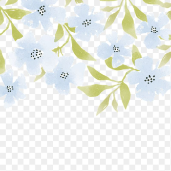 Watercolor blue flower png  | Free PNG - rawpixel