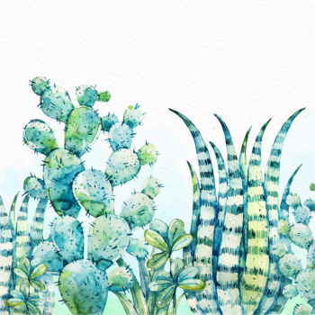 Watercolor cactus background Watercolor cactus background