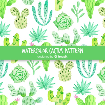 Watercolor cactus pattern Watercolor cactus pattern