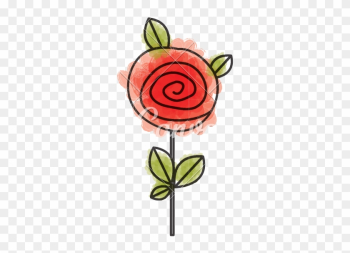 Watercolor Drawing Red Rose - Red Roses Drawing Watercolor Watercolor Drawing Red Rose - Red Roses Drawing Watercolor