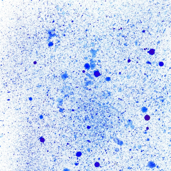 Watercolor dropped texture in blue tones Watercolor dropped texture in blue tones