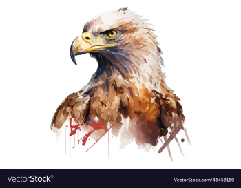 watercolor eagle watercolor eagle