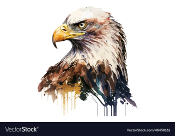watercolor eagle watercolor eagle