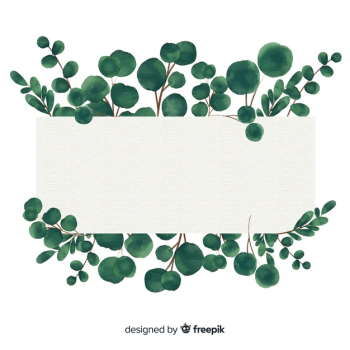 Watercolor eucalyptus banner with blank banner Watercolor eucalyptus banner with blank banner
