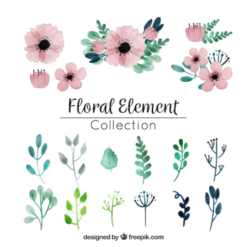 Watercolor floral element collection Watercolor floral element collection