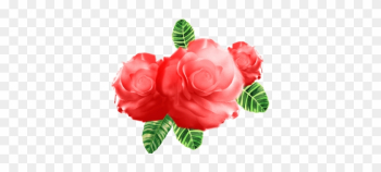 Watercolor Flower Vector, Art, Artistic, Background - Garden Roses Watercolor Flower Vector, Art, Artistic, Background - Garden Roses