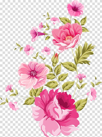 Watercolor flowers bloom transparent background PNG clipart