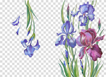 Watercolor flowers transparent background PNG clipart