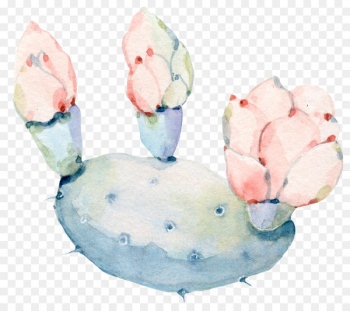 Watercolor: Flowers Watercolor painting Cactaceae - Hand painted watercolor flowers, green plants cactus 