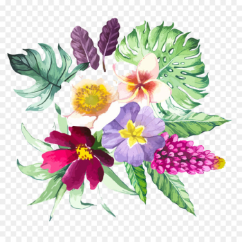 Watercolor: Flowers Watercolor painting Illustration - Beautiful floral watercolor flowers 