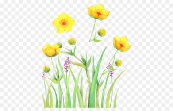 Watercolor: Flowers Watercolor painting - Painted grass flowers 