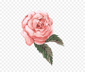Watercolor: Flowers Watercolor painting Rose Portable Network Graphics Clip art - rose 