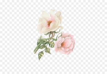 Watercolor: Flowers Watercolour Flowers Garden roses Watercolor painting - Peony 