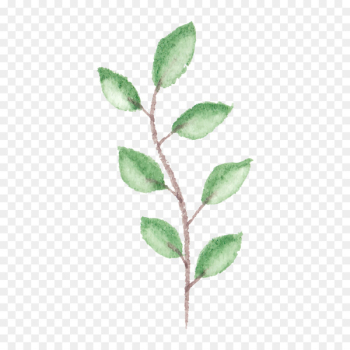 Watercolor: Flowers Watercolour Flowers Watercolor painting Leaf Twig - Floral pattern Flowers Flowers 
