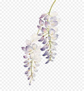 Watercolor: Flowers Watercolour Flowers Watercolor painting - Purple flower string 