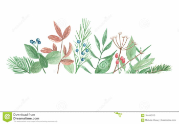Watercolor Foliage Border Frame Winter Berries Leaves Festive ...
