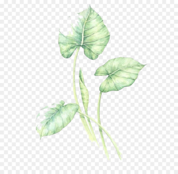 Watercolor green leaves Watercolor green leaves