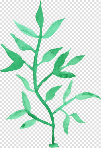 Watercolor Leaf Watercolor painting, leaves watercolor transparent background PNG clipart
