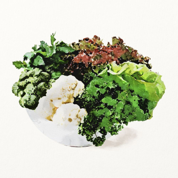 Watercolor leafy salad illustration, vegetable | Free Photo Illustration - rawpixel