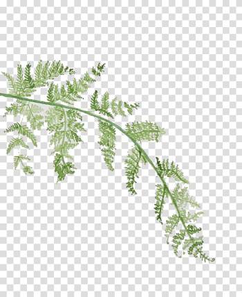 Watercolor leaves transparent background PNG clipart Watercolor leaves transparent background PNG clipart