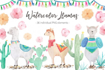 Watercolor Llamas Watercolor Llamas