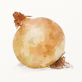 Watercolor onion illustration, vegetable drawing | Free Photo Illustration - rawpixel