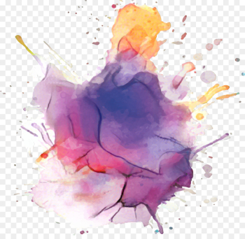 Watercolor Painting, Acrylic Paint, Rose Family, Watercolor Paint, Graphic Design PNG