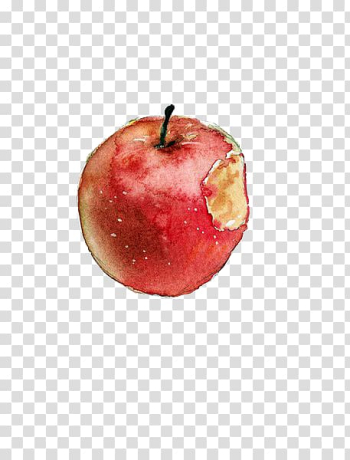Watercolor painting Apple Sketch, Bitten apple transparent background PNG clipart Watercolor painting Apple Sketch, Bitten apple transparent background PNG clipart