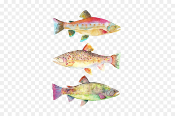 Watercolor painting Art Koi Fish - painting Watercolor painting Art Koi Fish - painting