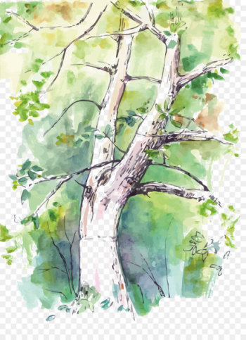 Watercolor painting Birch Twig Tree - Vector watercolor trees 