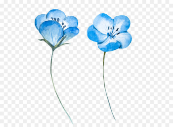 Watercolor painting Blue Flower - Light blue watercolor flowers 