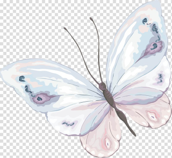 Watercolor painting Butterfly , butterfly transparent background PNG clipart