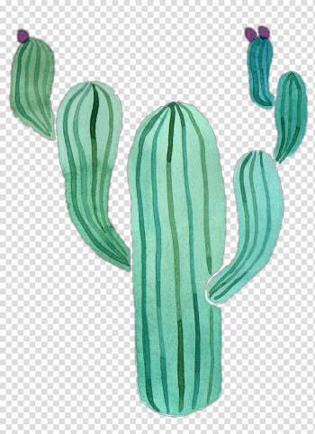 Watercolor painting Cactaceae Drawing, painting transparent background PNG clipart Watercolor painting Cactaceae Drawing, painting transparent background PNG clipart