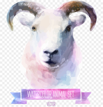 Watercolor painting Cuteness Illustration - Vector colored goat 