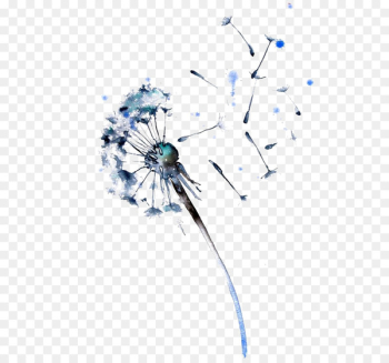 Watercolor painting Dandelion Drawing Paper - Dandelion Watercolor painting Dandelion Drawing Paper - Dandelion