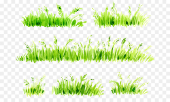 Watercolor painting Download - Watercolor painted grass Watercolor painting Download - Watercolor painted grass